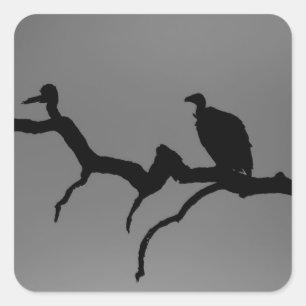 Vulture Silhouette Vierkante Sticker