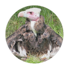 VULTURE SNIJPLANK