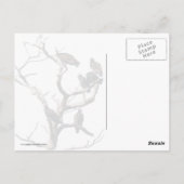 Vultures Briefkaart (Achterkant)