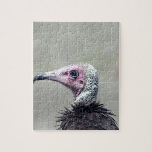 Vultuur Legpuzzel