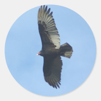 Vultuur ornithologie ronde sticker
