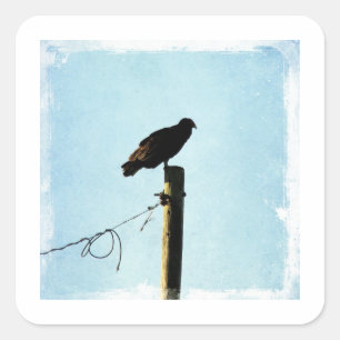 Vultuur Vierkante Sticker