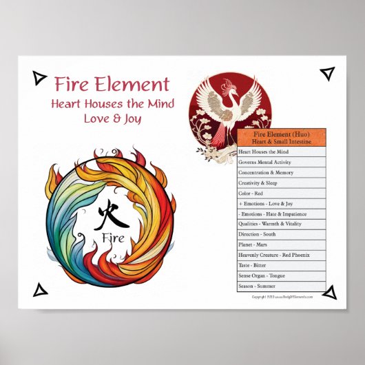 Vuur Element Acupunctuur Poster (Voorkant)