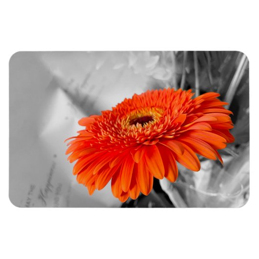 Vuur op bloemblaadjes magneet (Horizontaal)