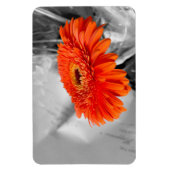 Vuur op bloemblaadjes magneet (Verticaal)