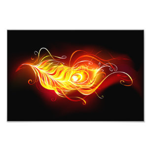 Vuur Pauwveer Foto Afdruk