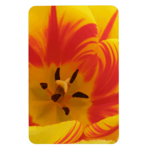 Vuur Tulpen Premium Magneet
