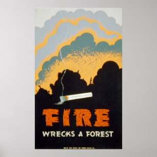 Vuur wrakt een bos poster