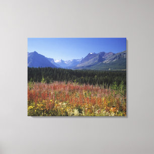Vuurbloemen Canvas Afdruk