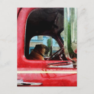 Vuurman's beste vriend briefkaart