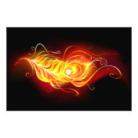 Vuurpacock Veer