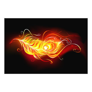 Vuurpacock Veer Foto Afdruk