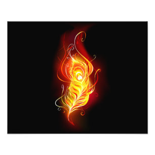 Vuurpacock Veer Foto Afdruk