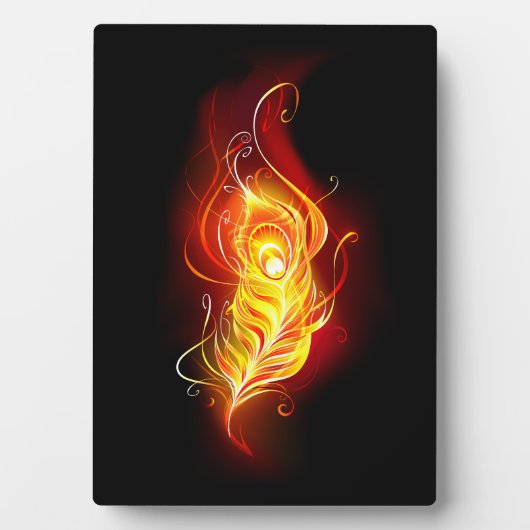 Vuurpacock Veer Fotoplaat (voorkant)