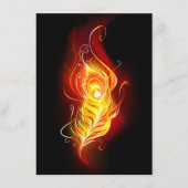 Vuurpacock Veer Informatiekaartje (Voorkant)