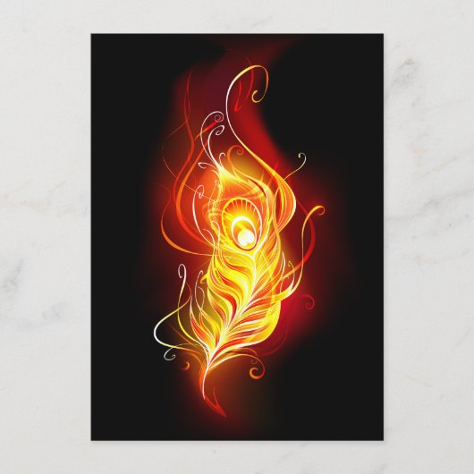 Vuurpacock Veer Informatiekaartje (Voorkant)