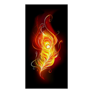 Vuurpacock Veer Perfect Poster