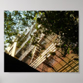 Vuurschilfering in schaduw en zon poster (Voorkant)