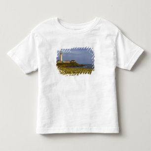 Vuurtoren bij Pigeon Point State Beach in San Kinder Shirts