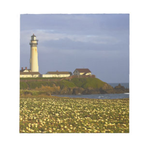 Vuurtoren bij Pigeon Point State Beach in San Notitieblok