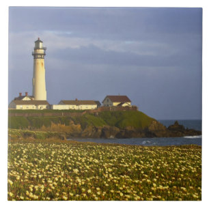 Vuurtoren bij Pigeon Point State Beach in San Tegeltje