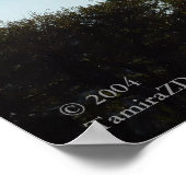 Vuurtoren, Cape May, NJ Poster (Hoek)