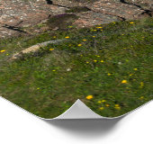 Vuurtoren Fanad Head Poster (Hoek)