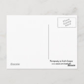 vuurtoren - Kauai, Hawaii Briefkaart (Achterkant)