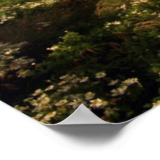 vuurtoren met kop poster (Hoek)