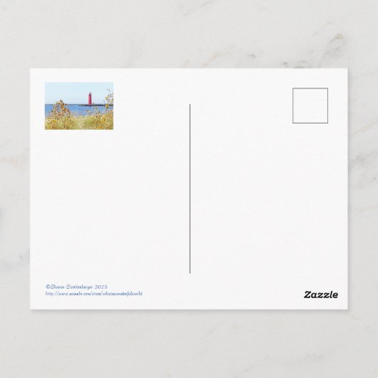 VUURTOREN, MUSKEGON, MICHIGAN Briefkaart (Achterkant)