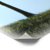 vuurtoren van biloxi poster (Hoek)