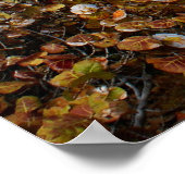 vuurtoren van Cape Florida Poster (Hoek)