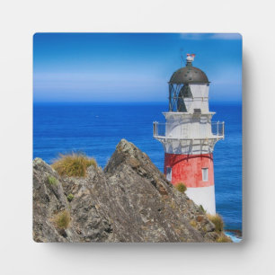 Vuurtoren van Cape Palliser New Zealand Fotoplaat