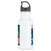 vuurtoren van Heceta Waterfles (Achterkant)