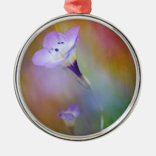 vuurtoren van het oude punt Loma   Monument Cabril Metalen Ornament