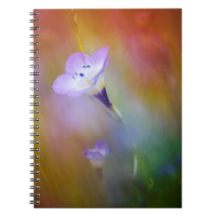 vuurtoren van het oude punt Loma   Monument Cabril Notitieboek