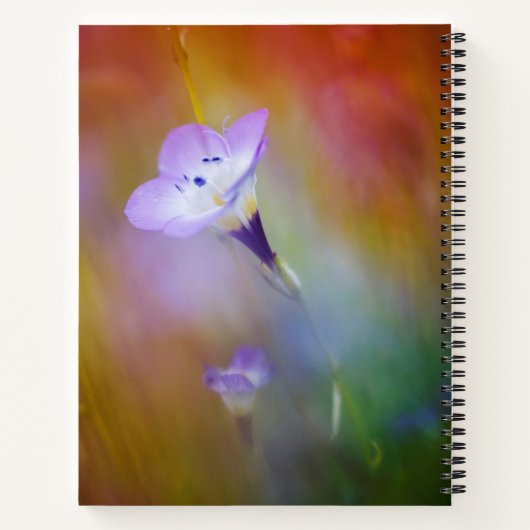 vuurtoren van het oude punt Loma | Monument Cabril Notitieboek (Achterkant)