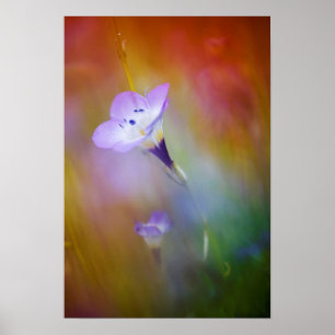 vuurtoren van het oude punt Loma   Monument Cabril Poster