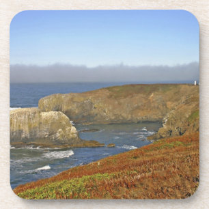 Vuurtoren Yaquina Head bij Newport Oregon Onderzetter