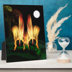 Vuurvliegen Fotoplaat