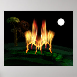 Vuurvliegen Poster