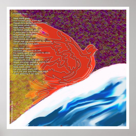 Vuurvogels omlaag poster (Voorkant)