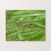 Vuurwantsen in groene natuur legpuzzel (Horizontaal)