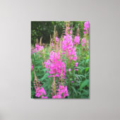 Vuurweed Canvas Afdruk (Voorkant)