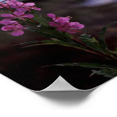 Vuurweed Poster (Hoek)