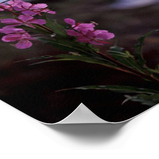 Vuurweed Poster (Hoek)