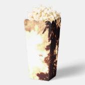 Vuurwerk 15 popcornboxen bedankdoosjes (Popped)