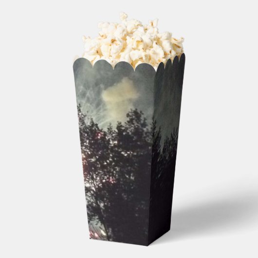 Vuurwerk 17 popcornboxen bedankdoosjes (Popped)