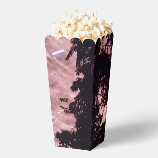 Vuurwerk 18 popcornboxen bedankdoosjes (Popped)