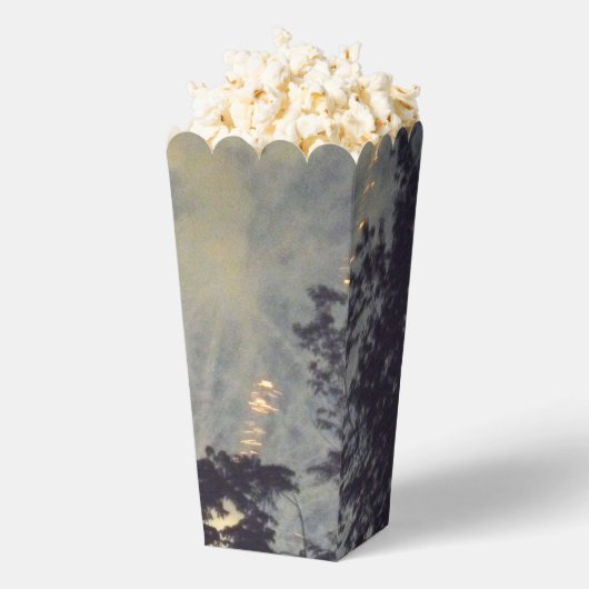 Vuurwerk 19 popcornboxen bedankdoosjes (Popped)